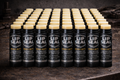 Lip Seal Original - BULK 100-Pack